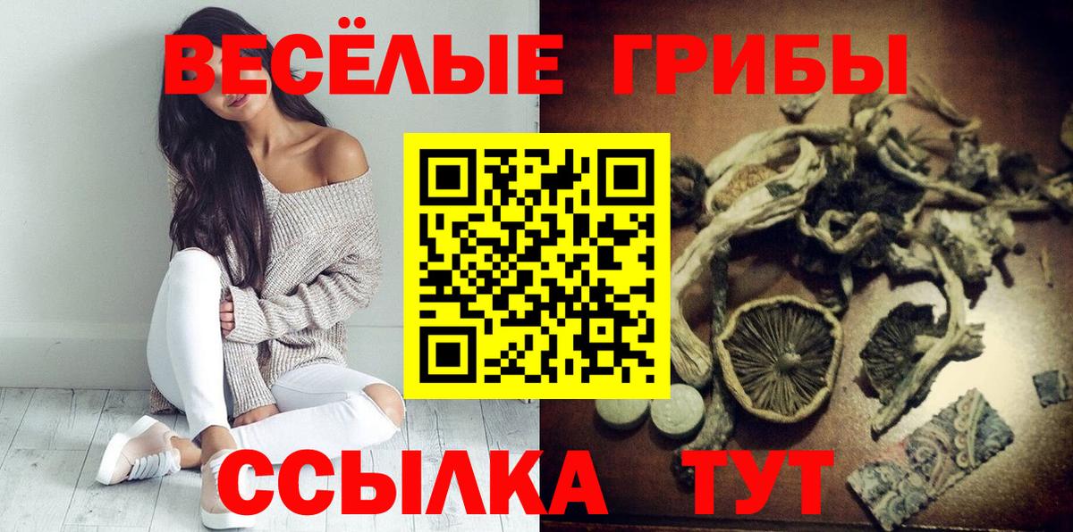 Псилоцибиновые грибы мицелий  Галлюциногенные грибы Psilocybine cubensis  Новосибирск  Вход с VPN 